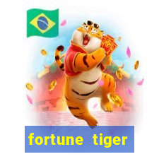 fortune tiger cassino pix